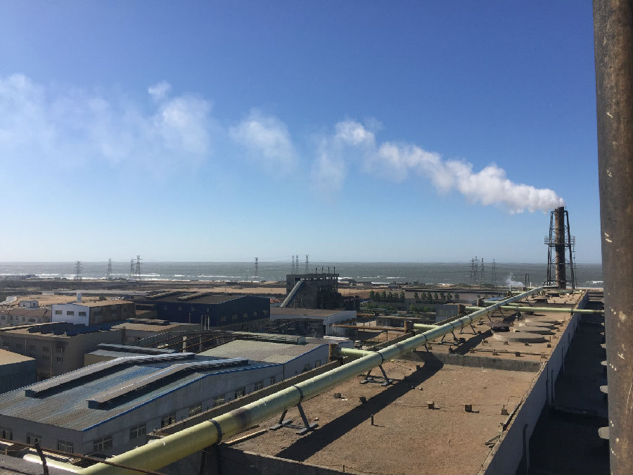 山东道恩钛业有限公司硫酸酸雾监测项目